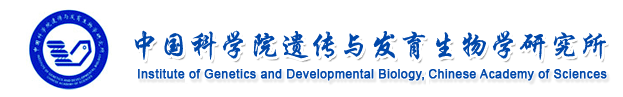 IGDB
